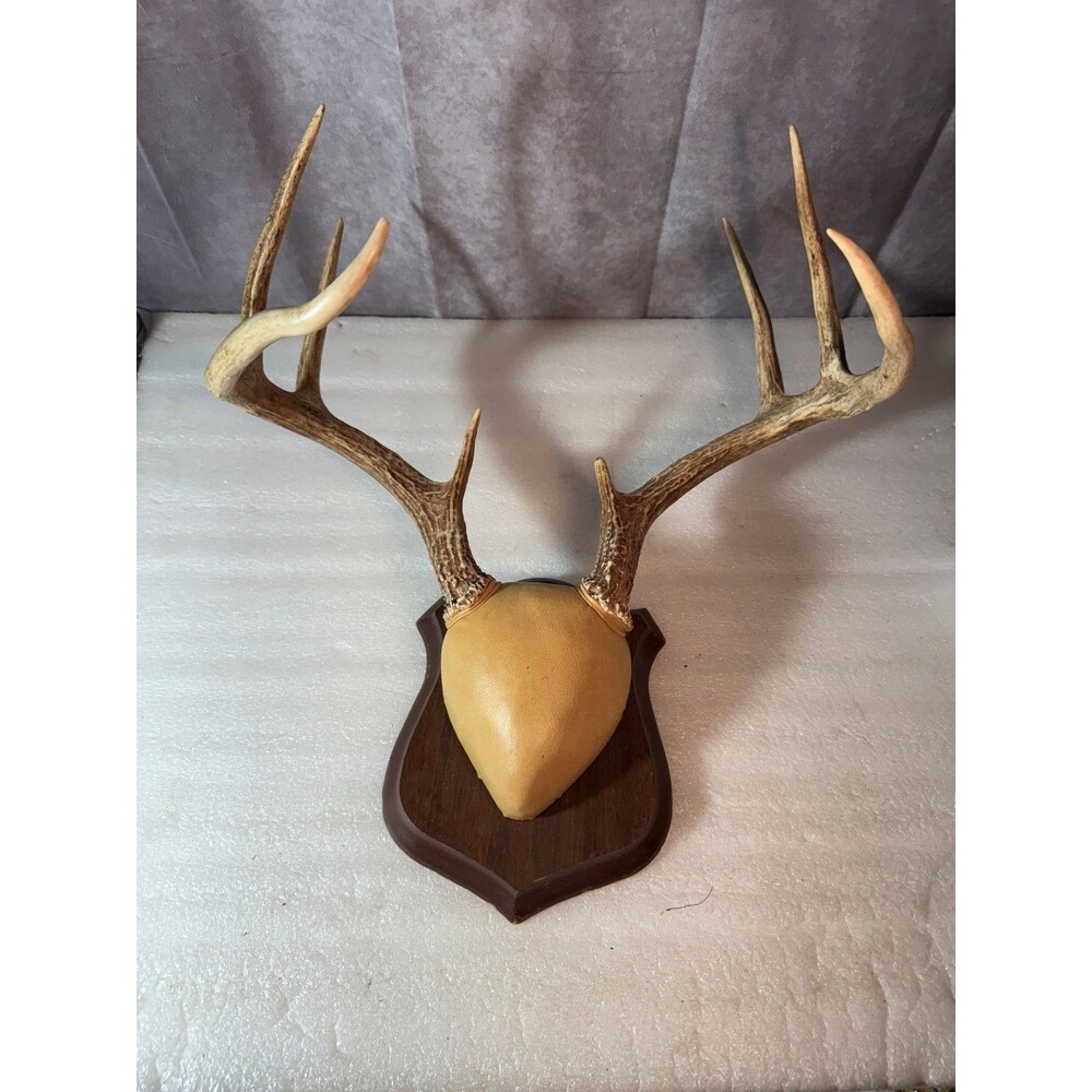 Vintage Deer Antler Mount Wood Trophy Plaque 2003 Hunting Cabin Decor